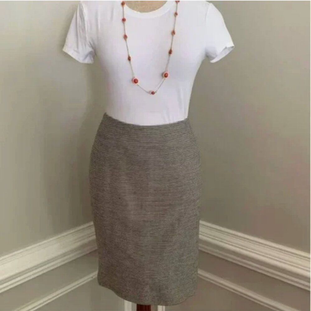 Talbots Blue and Cream Pinstriped Pencil Skirt Size 8P